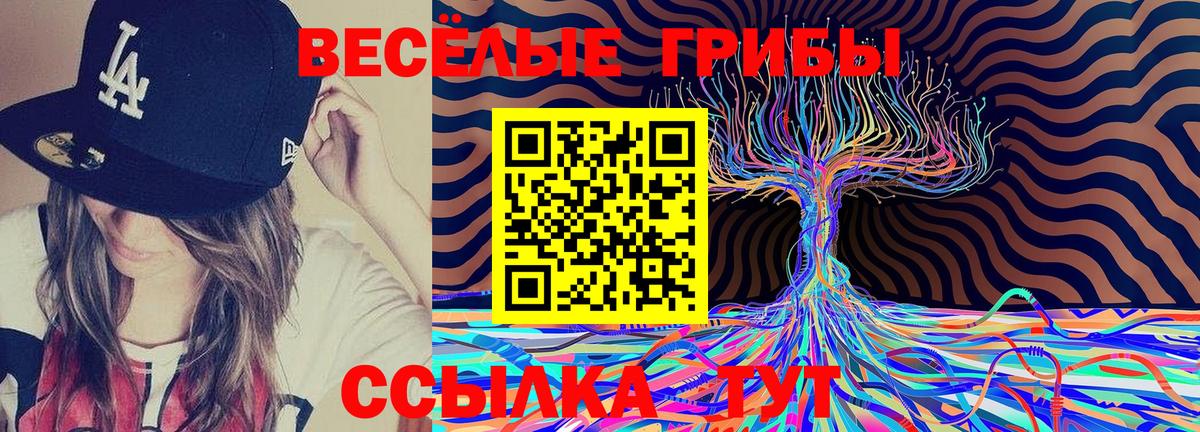 Псилоцибиновые грибы Psilocybe Строитель