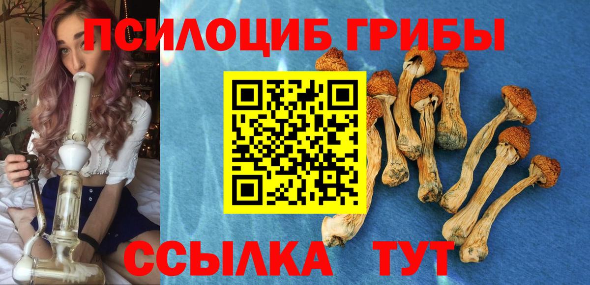 Псилоцибиновые грибы Cubensis  Вход с VPN  Строитель 